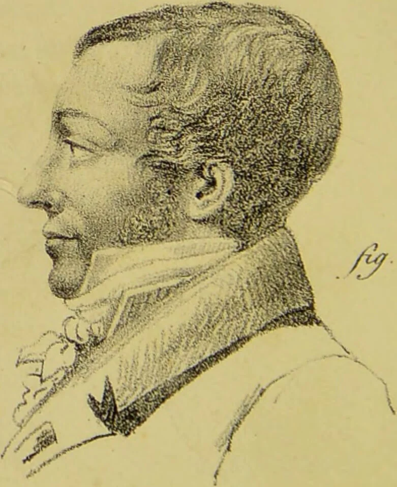 An illustration from Phrenology, in connexion with the study of physiognomy / by J. G. Spurzheim., 1826, leaf 208