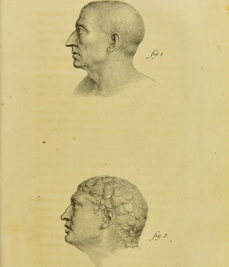 An illustration from Phrenology, in connexion with the study of physiognomy / by J. G. Spurzheim., 1826, leaf 223