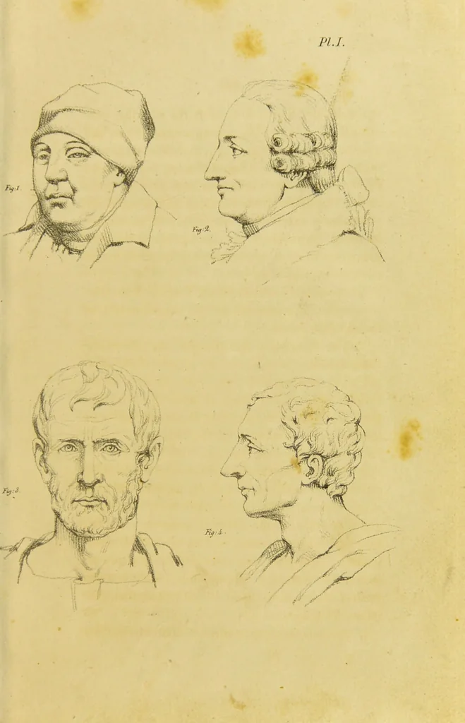 An illustration from Phrenology, in connexion with the study of physiognomy / by J. G. Spurzheim., 1826, leaf 29