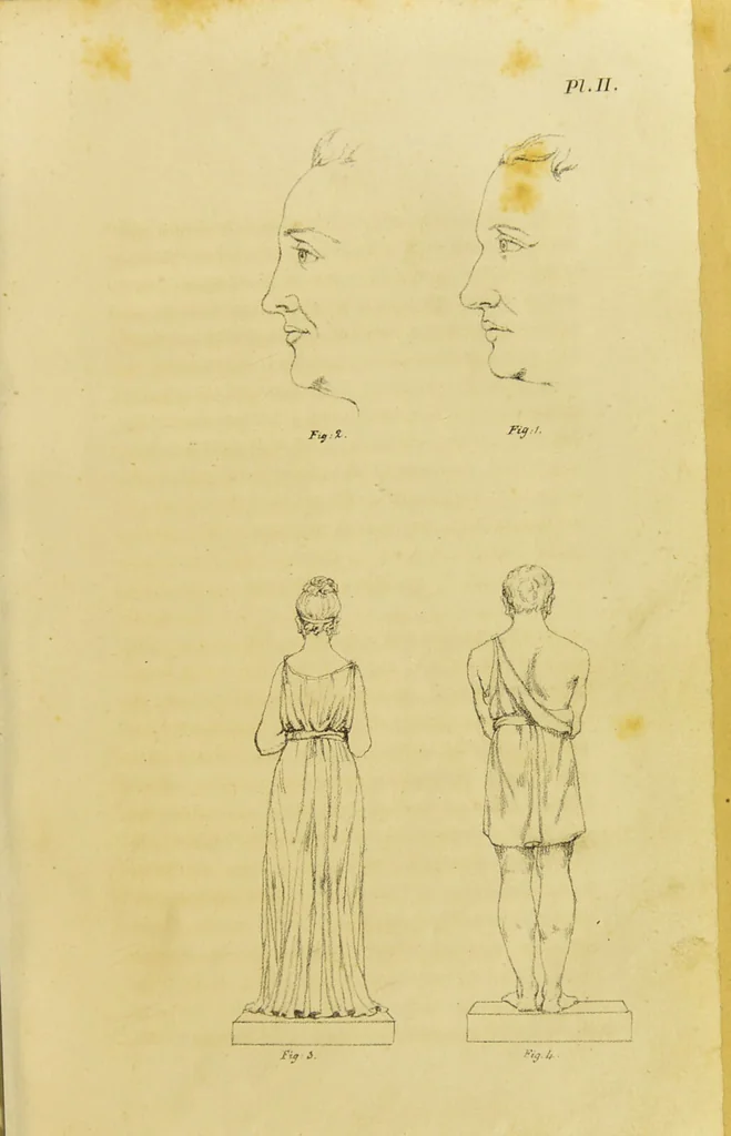 An illustration from Phrenology, in connexion with the study of physiognomy / by J. G. Spurzheim., 1826, leaf 33