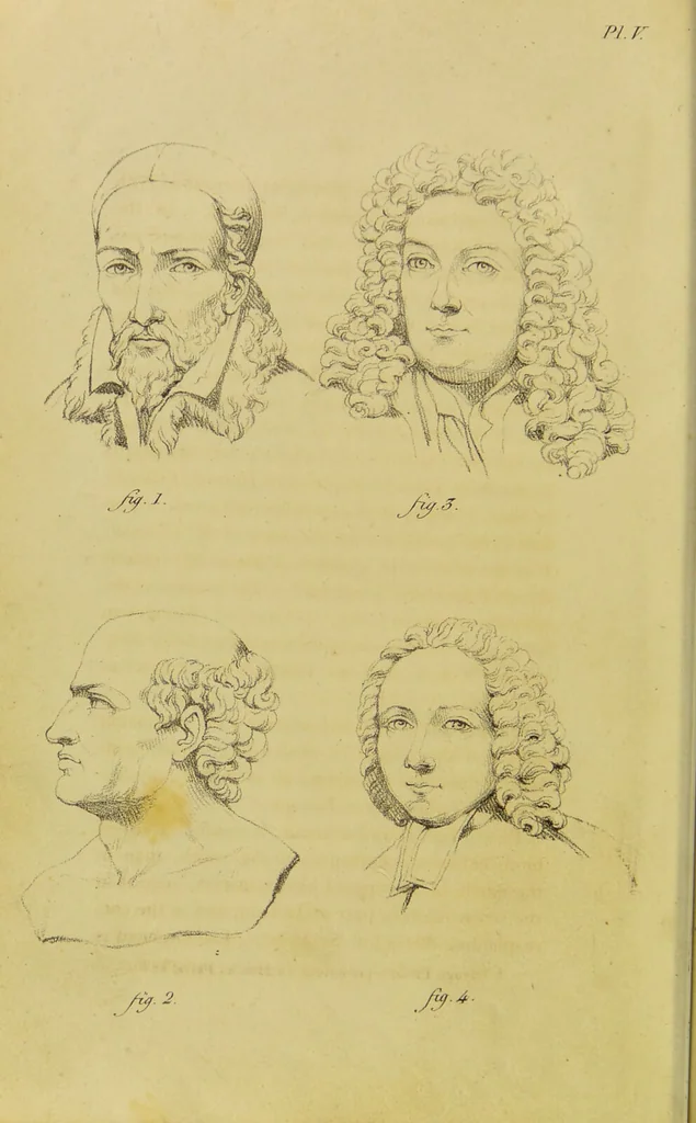 An illustration from Phrenology, in connexion with the study of physiognomy / by J. G. Spurzheim., 1826, leaf 46