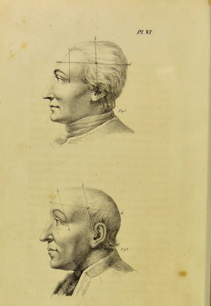 An illustration from Phrenology, in connexion with the study of physiognomy / by J. G. Spurzheim., 1826, leaf 54