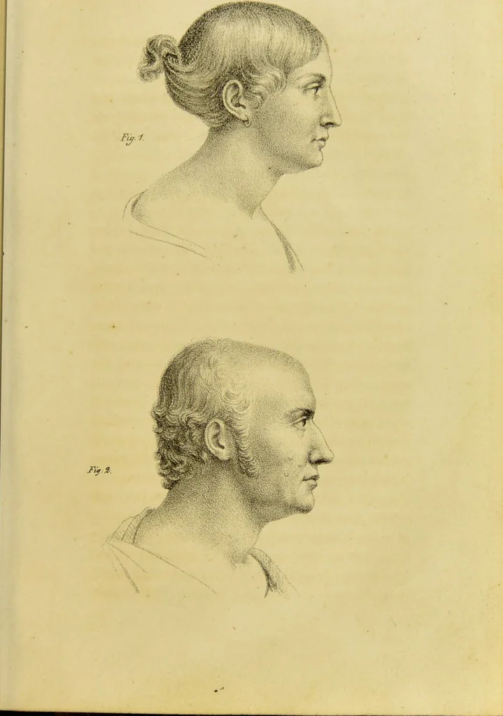 An illustration from Phrenology, in connexion with the study of physiognomy / by J. G. Spurzheim., 1826, leaf 75