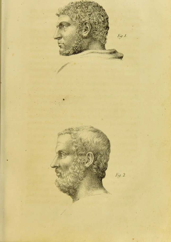An illustration from Phrenology, in connexion with the study of physiognomy / by J. G. Spurzheim., 1826, leaf 91