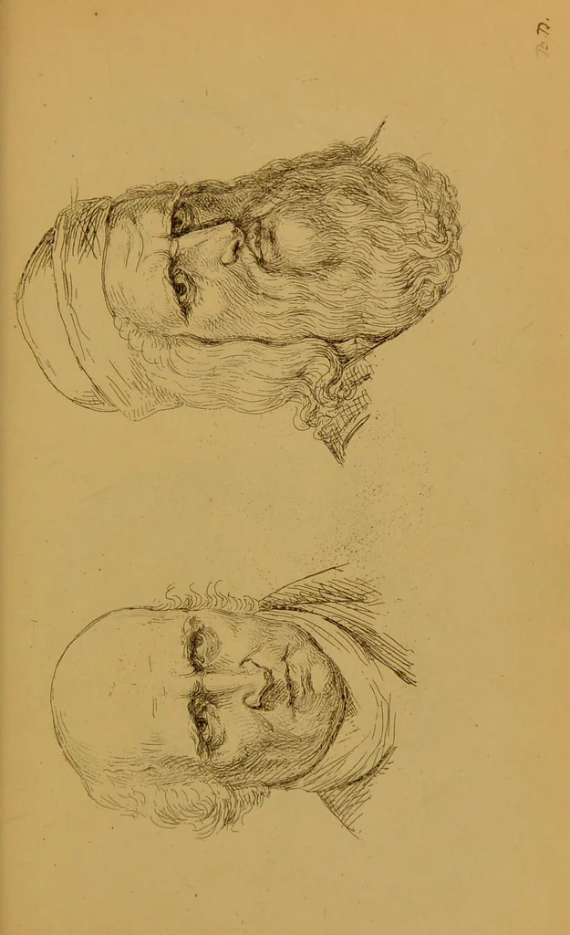 An illustration from Principes et résumé de physiognomie / par le docteur B*** D***., 1859, leaf 135