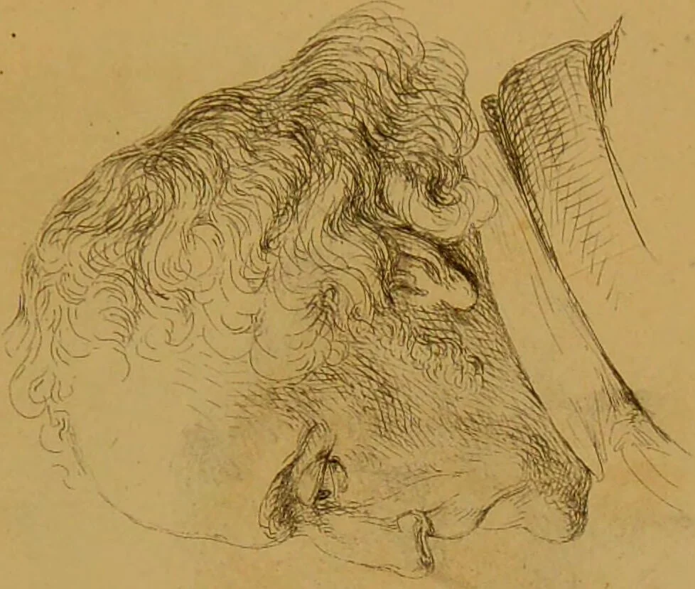 An illustration from Principes et résumé de physiognomie / par le docteur B*** D***., 1859, leaf 145