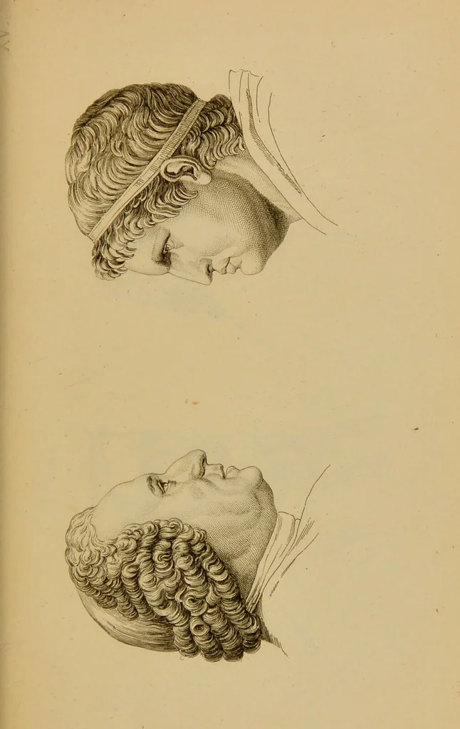 An illustration from Principes et résumé de physiognomie / par le docteur B*** D***., 1859, leaf 147