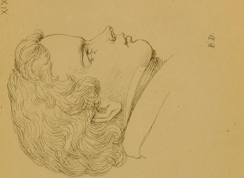 An illustration from Principes et résumé de physiognomie / par le docteur B*** D***., 1859, leaf 155