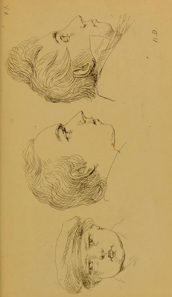 An illustration from Principes et résumé de physiognomie / par le docteur B*** D***., 1859, leaf 157