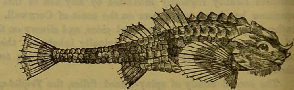 An illustration from A natural history of the animal kingdom : being a systematic and popular description of the habits, structure, and classification of animals, from the lowest to the highest forms. Arranged according to their organisation / by W. S. Dallas., 1860, leaf 320