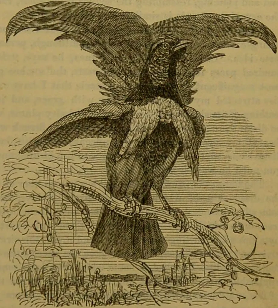 An illustration from A natural history of the animal kingdom : being a systematic and popular description of the habits, structure, and classification of animals, from the lowest to the highest forms. Arranged according to their organisation / by W. S. Dallas., 1860, leaf 537
