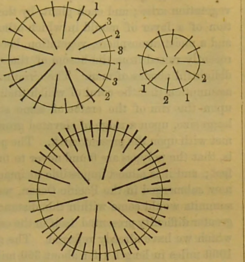 An illustration from A natural history of the animal kingdom : being a systematic and popular description of the habits, structure, and classification of animals, from the lowest to the highest forms. Arranged according to their organisation / by W. S. Dallas., 1860, leaf 67