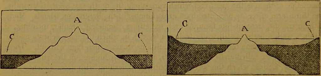 An illustration from A natural history of the animal kingdom : being a systematic and popular description of the habits, structure, and classification of animals, from the lowest to the highest forms. Arranged according to their organisation / by W. S. Dallas., 1860, leaf 68