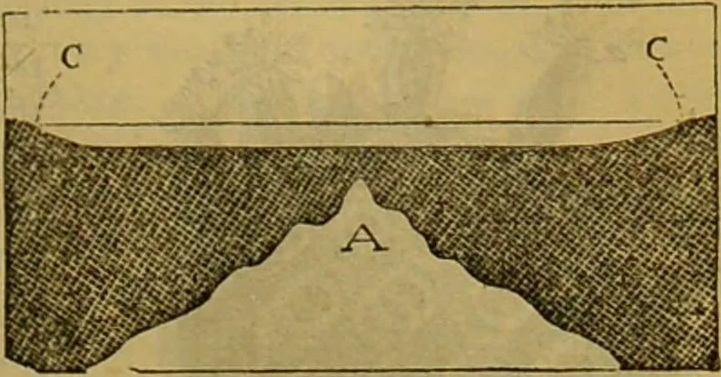An illustration from A natural history of the animal kingdom : being a systematic and popular description of the habits, structure, and classification of animals, from the lowest to the highest forms. Arranged according to their organisation / by W. S. Dallas., 1860, leaf 69