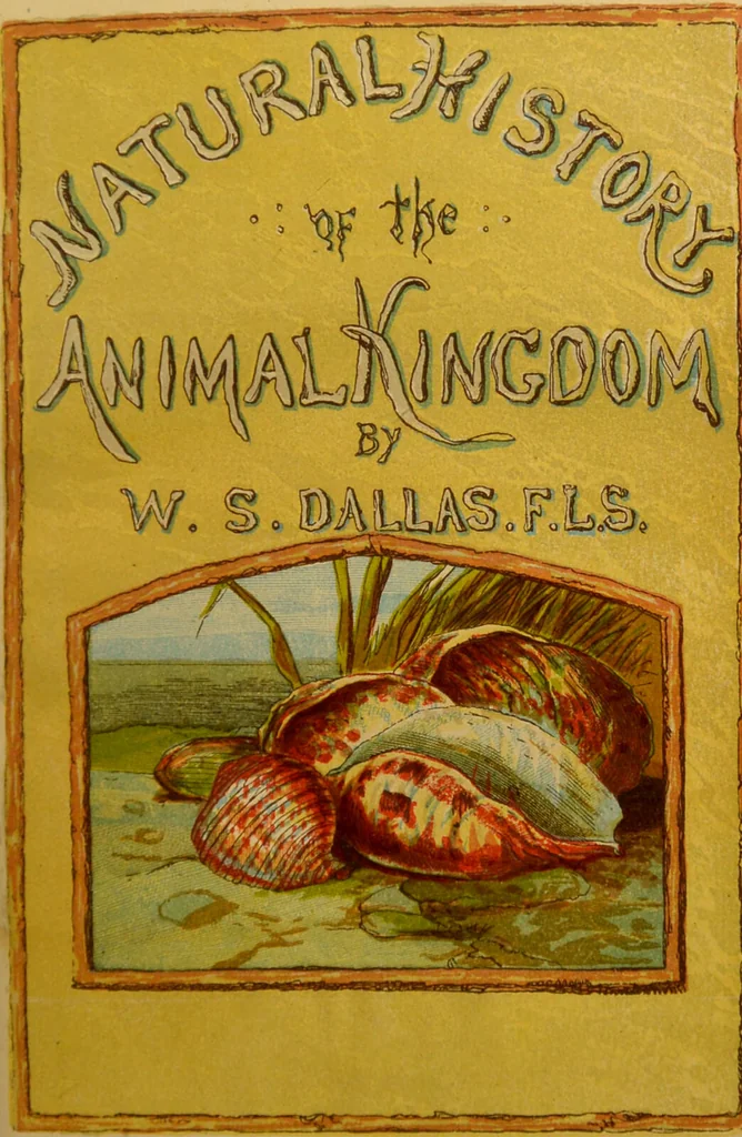 An illustration from A natural history of the animal kingdom : being a systematic and popular description of the habits, structure, and classification of animals, from the lowest to the highest forms. Arranged according to their organisation / by W. S. Dallas., 1860, leaf 7