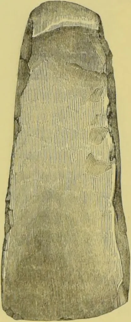An illustration from Pre-historic times, as illustrated by ancient remains, and the manners and customs of modern savages / by John Lubbock., 1865, leaf 108