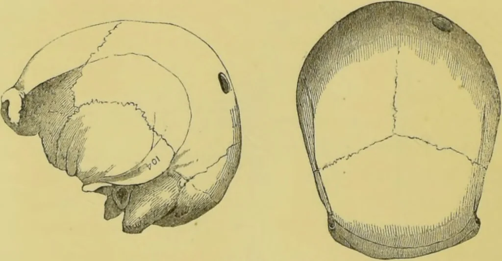An illustration from Pre-historic times, as illustrated by ancient remains, and the manners and customs of modern savages / by John Lubbock., 1865, leaf 140