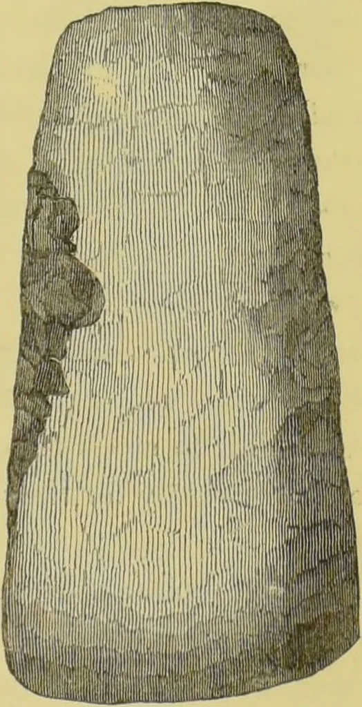 An illustration from Pre-historic times, as illustrated by ancient remains, and the manners and customs of modern savages / by John Lubbock., 1865, leaf 165