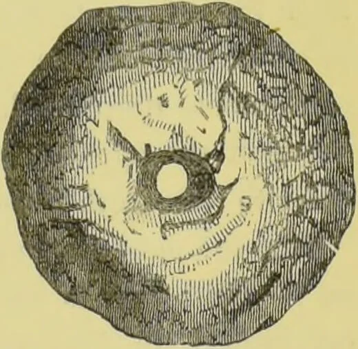 An illustration from Pre-historic times, as illustrated by ancient remains, and the manners and customs of modern savages / by John Lubbock., 1865, leaf 167