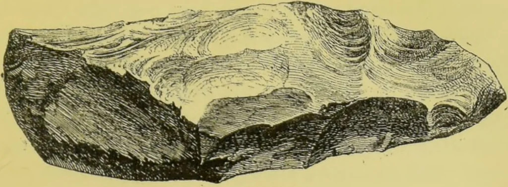 An illustration from Pre-historic times, as illustrated by ancient remains, and the manners and customs of modern savages / by John Lubbock., 1865, leaf 221