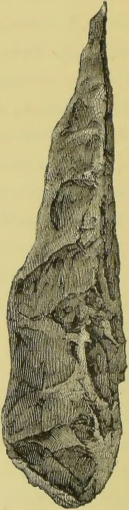 An illustration from Pre-historic times, as illustrated by ancient remains, and the manners and customs of modern savages / by John Lubbock., 1865, leaf 308