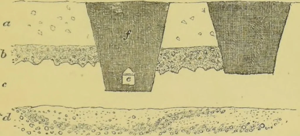 An illustration from Pre-historic times, as illustrated by ancient remains, and the manners and customs of modern savages / by John Lubbock., 1865, leaf 323