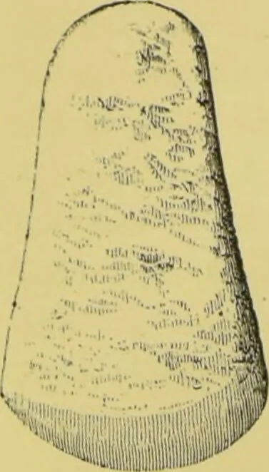 An illustration from Pre-historic times, as illustrated by ancient remains, and the manners and customs of modern savages / by John Lubbock., 1865, leaf 44