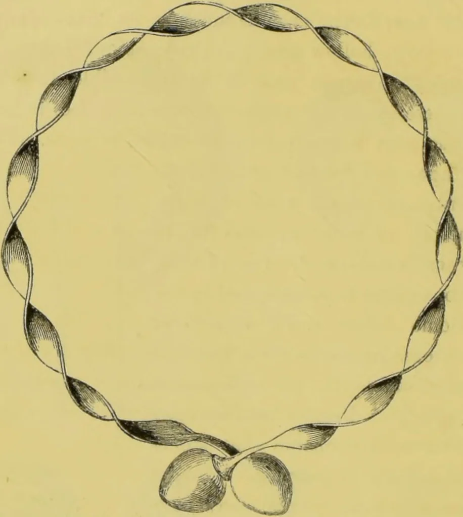 An illustration from Pre-historic times, as illustrated by ancient remains, and the manners and customs of modern savages / by John Lubbock., 1865, leaf 54