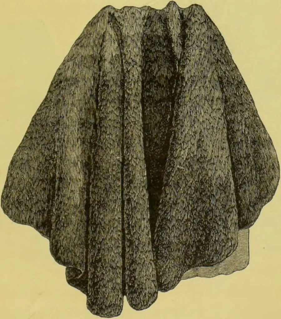 An illustration from Pre-historic times, as illustrated by ancient remains, and the manners and customs of modern savages / by John Lubbock., 1865, leaf 57