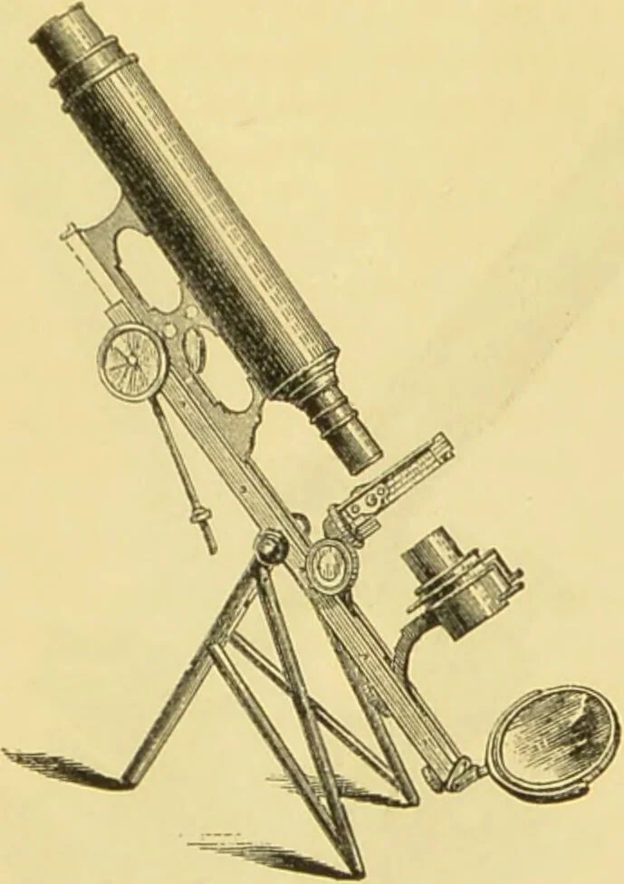 An illustration from The microscope: its history, construction, and application : being a familiar introduction to the use of the instrument and the study of microscopical sciences / by Jabez Hogg., 1869, leaf 110