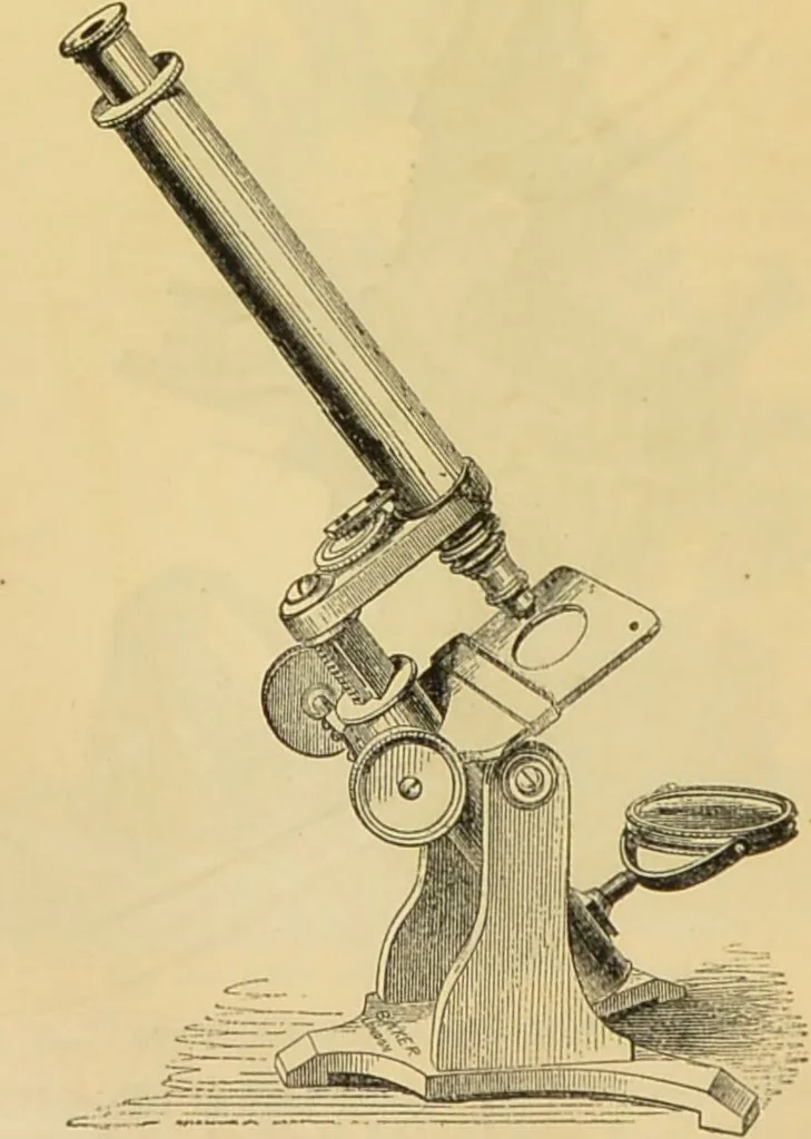 An illustration from The microscope: its history, construction, and application : being a familiar introduction to the use of the instrument and the study of microscopical sciences / by Jabez Hogg., 1869, leaf 113