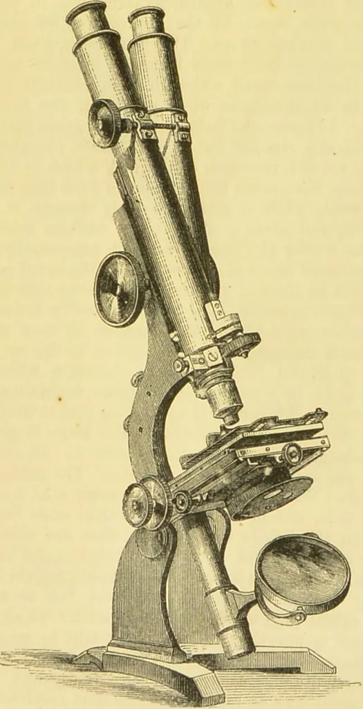 An illustration from The microscope: its history, construction, and application : being a familiar introduction to the use of the instrument and the study of microscopical sciences / by Jabez Hogg., 1869, leaf 116