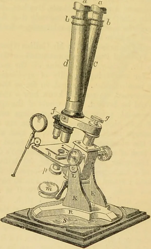 An illustration from The microscope: its history, construction, and application : being a familiar introduction to the use of the instrument and the study of microscopical sciences / by Jabez Hogg., 1869, leaf 121