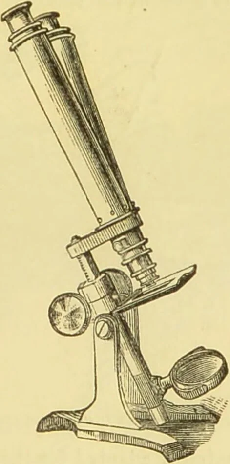 An illustration from The microscope: its history, construction, and application : being a familiar introduction to the use of the instrument and the study of microscopical sciences / by Jabez Hogg., 1869, leaf 122