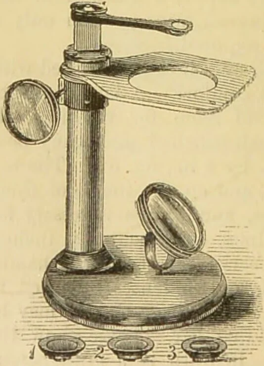 An illustration from The microscope: its history, construction, and application : being a familiar introduction to the use of the instrument and the study of microscopical sciences / by Jabez Hogg., 1869, leaf 123