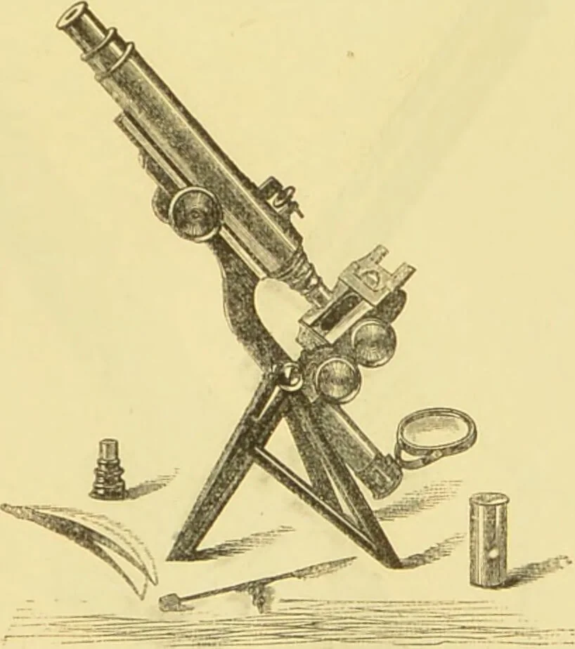 An illustration from The microscope: its history, construction, and application : being a familiar introduction to the use of the instrument and the study of microscopical sciences / by Jabez Hogg., 1869, leaf 124
