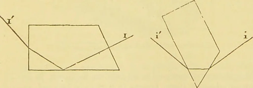 An illustration from The microscope: its history, construction, and application : being a familiar introduction to the use of the instrument and the study of microscopical sciences / by Jabez Hogg., 1869, leaf 146