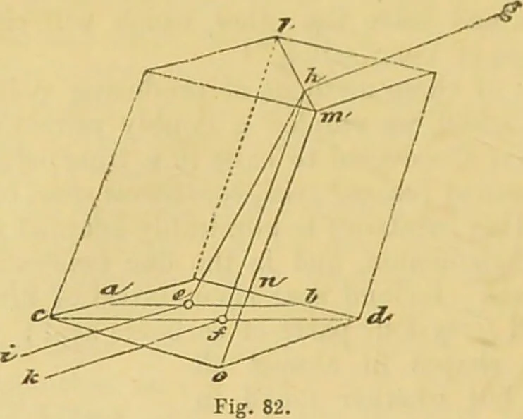 An illustration from The microscope: its history, construction, and application : being a familiar introduction to the use of the instrument and the study of microscopical sciences / by Jabez Hogg., 1869, leaf 161