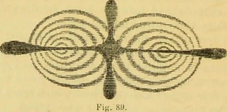 An illustration from The microscope: its history, construction, and application : being a familiar introduction to the use of the instrument and the study of microscopical sciences / by Jabez Hogg., 1869, leaf 173