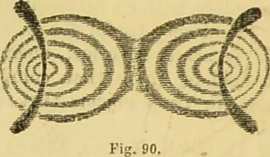 An illustration from The microscope: its history, construction, and application : being a familiar introduction to the use of the instrument and the study of microscopical sciences / by Jabez Hogg., 1869, leaf 173