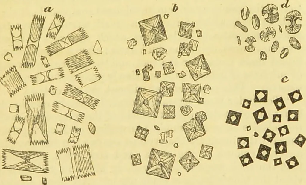 An illustration from The microscope: its history, construction, and application : being a familiar introduction to the use of the instrument and the study of microscopical sciences / by Jabez Hogg., 1869, leaf 174