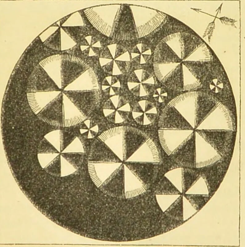 An illustration from The microscope: its history, construction, and application : being a familiar introduction to the use of the instrument and the study of microscopical sciences / by Jabez Hogg., 1869, leaf 176