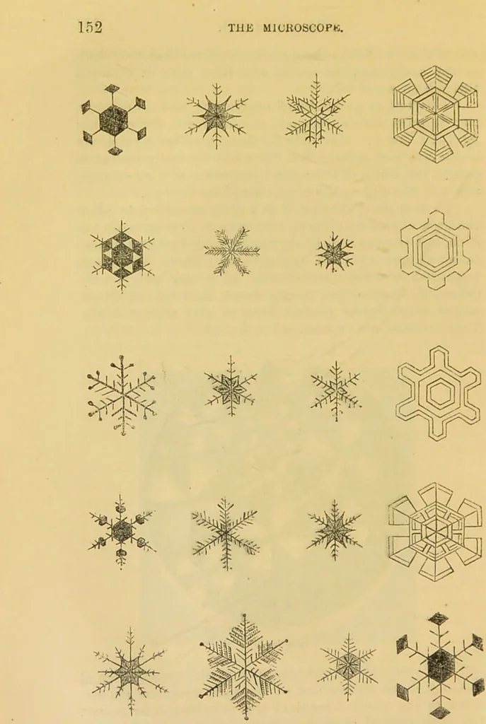 An illustration from The microscope: its history, construction, and application : being a familiar introduction to the use of the instrument and the study of microscopical sciences / by Jabez Hogg., 1869, leaf 177