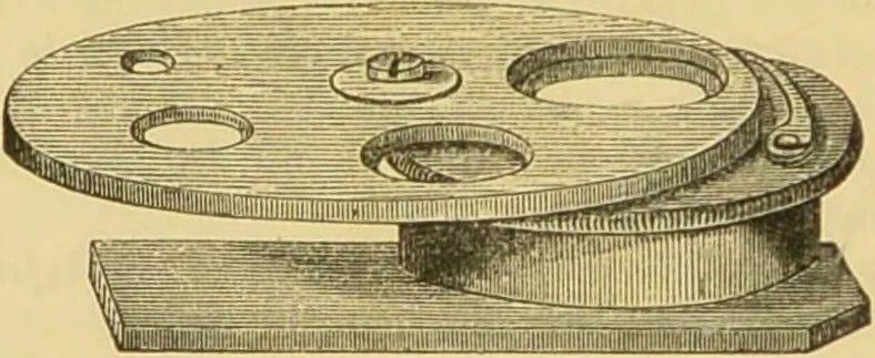 An illustration from The microscope: its history, construction, and application : being a familiar introduction to the use of the instrument and the study of microscopical sciences / by Jabez Hogg., 1869, leaf 187