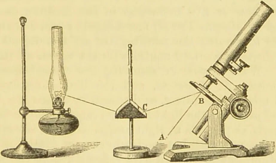 An illustration from The microscope: its history, construction, and application : being a familiar introduction to the use of the instrument and the study of microscopical sciences / by Jabez Hogg., 1869, leaf 200