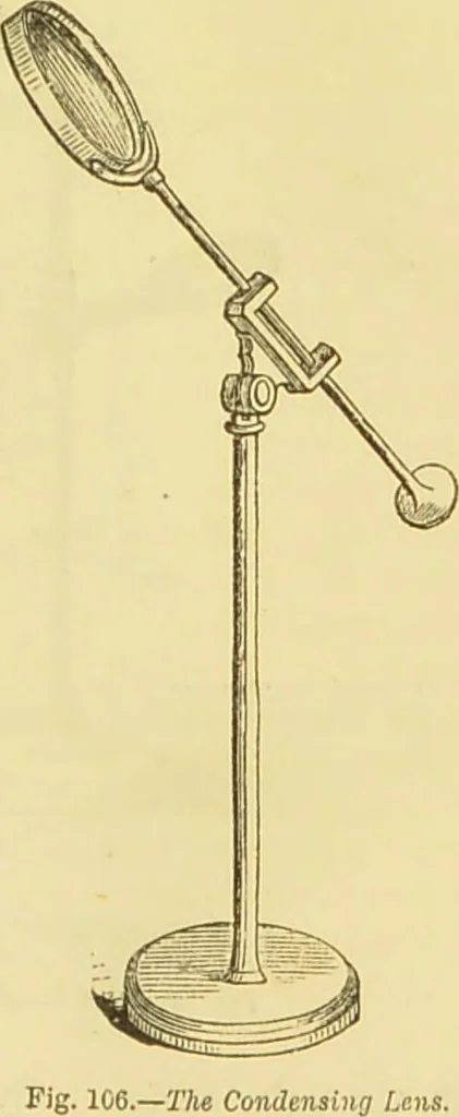 An illustration from The microscope: its history, construction, and application : being a familiar introduction to the use of the instrument and the study of microscopical sciences / by Jabez Hogg., 1869, leaf 208