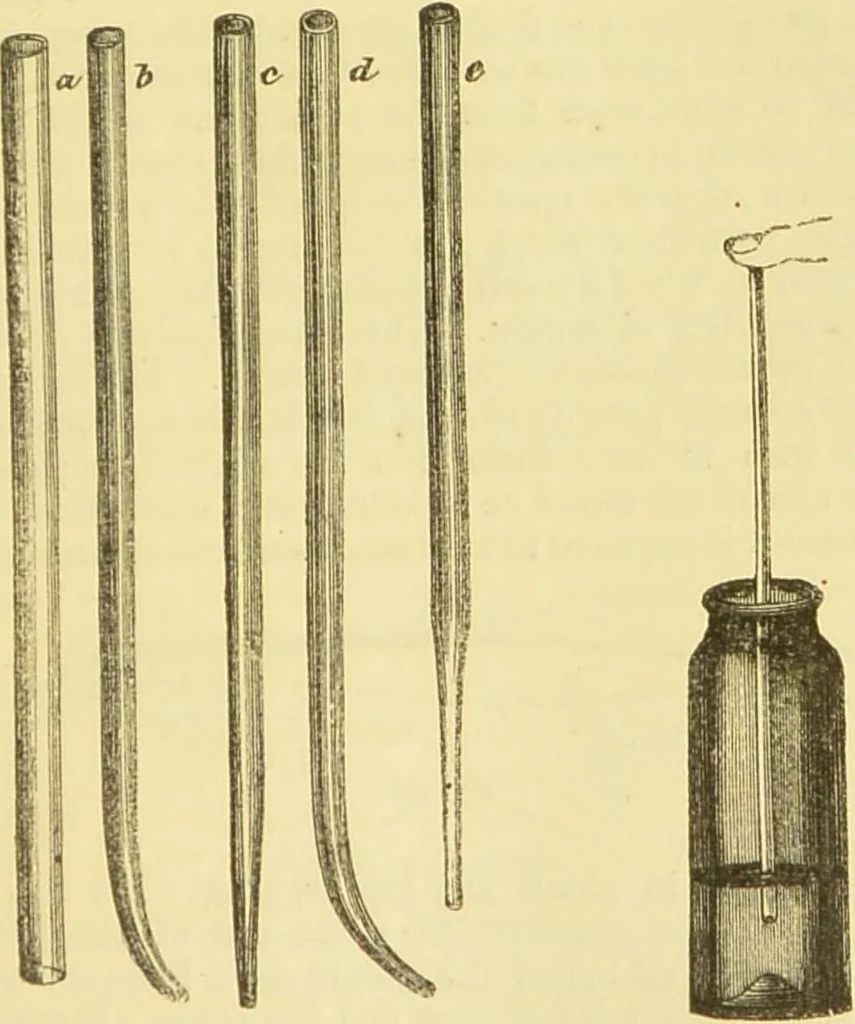 An illustration from The microscope: its history, construction, and application : being a familiar introduction to the use of the instrument and the study of microscopical sciences / by Jabez Hogg., 1869, leaf 216