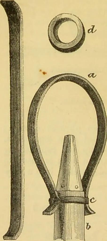 An illustration from The microscope: its history, construction, and application : being a familiar introduction to the use of the instrument and the study of microscopical sciences / by Jabez Hogg., 1869, leaf 219