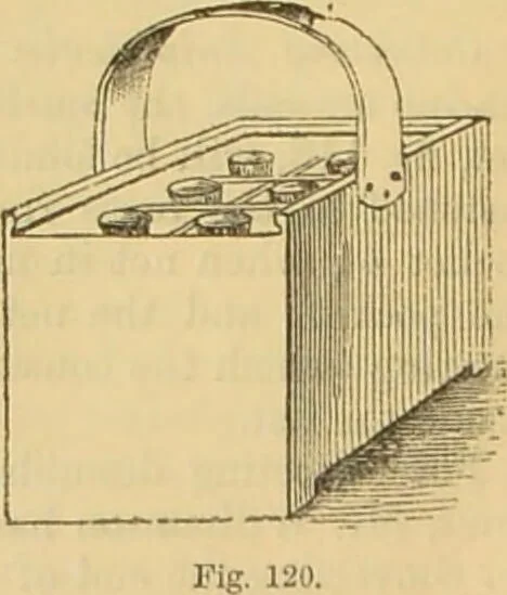 An illustration from The microscope: its history, construction, and application : being a familiar introduction to the use of the instrument and the study of microscopical sciences / by Jabez Hogg., 1869, leaf 219