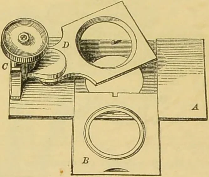 An illustration from The microscope: its history, construction, and application : being a familiar introduction to the use of the instrument and the study of microscopical sciences / by Jabez Hogg., 1869, leaf 221